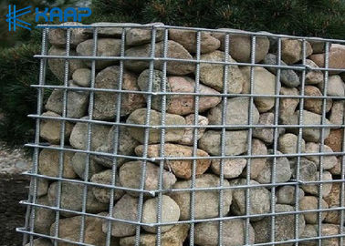 Trattamento di superficie a basso tenore di carbonio saldato della parete della roccia della rete metallica del tondo per cemento armato vario per la crescita della pianta